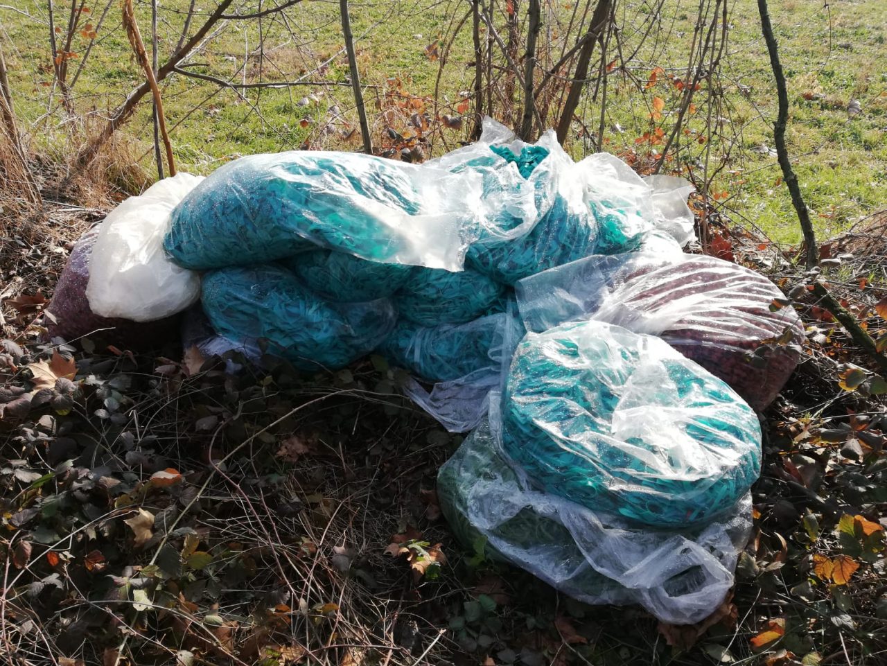 Sacchi di rifiuti abbandonati in mezzo al verde