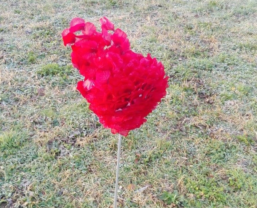 Il paese si riempie di cuori: l’anonimo cupido ha colpito ancora