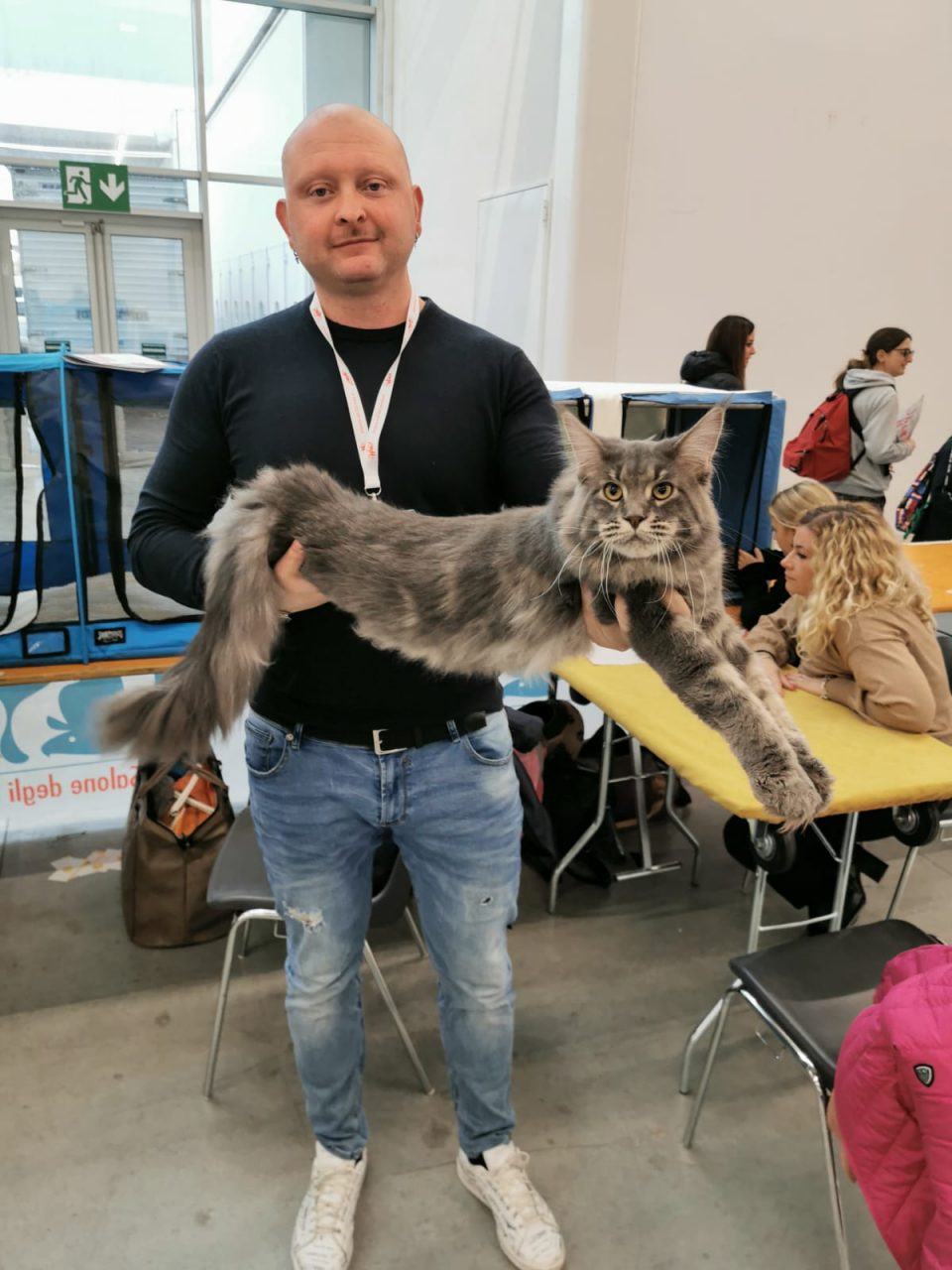 Azzano Mella: Donatello è il “re” dei Main Coon