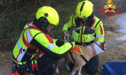 Bloccati sull'impervio: recuperati due escursionisti e i loro cani