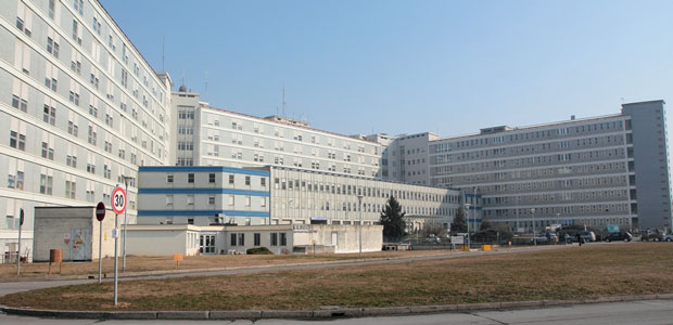 Coronavirus, testimonianza di chi è guarito: “Mi sento una miracolata”