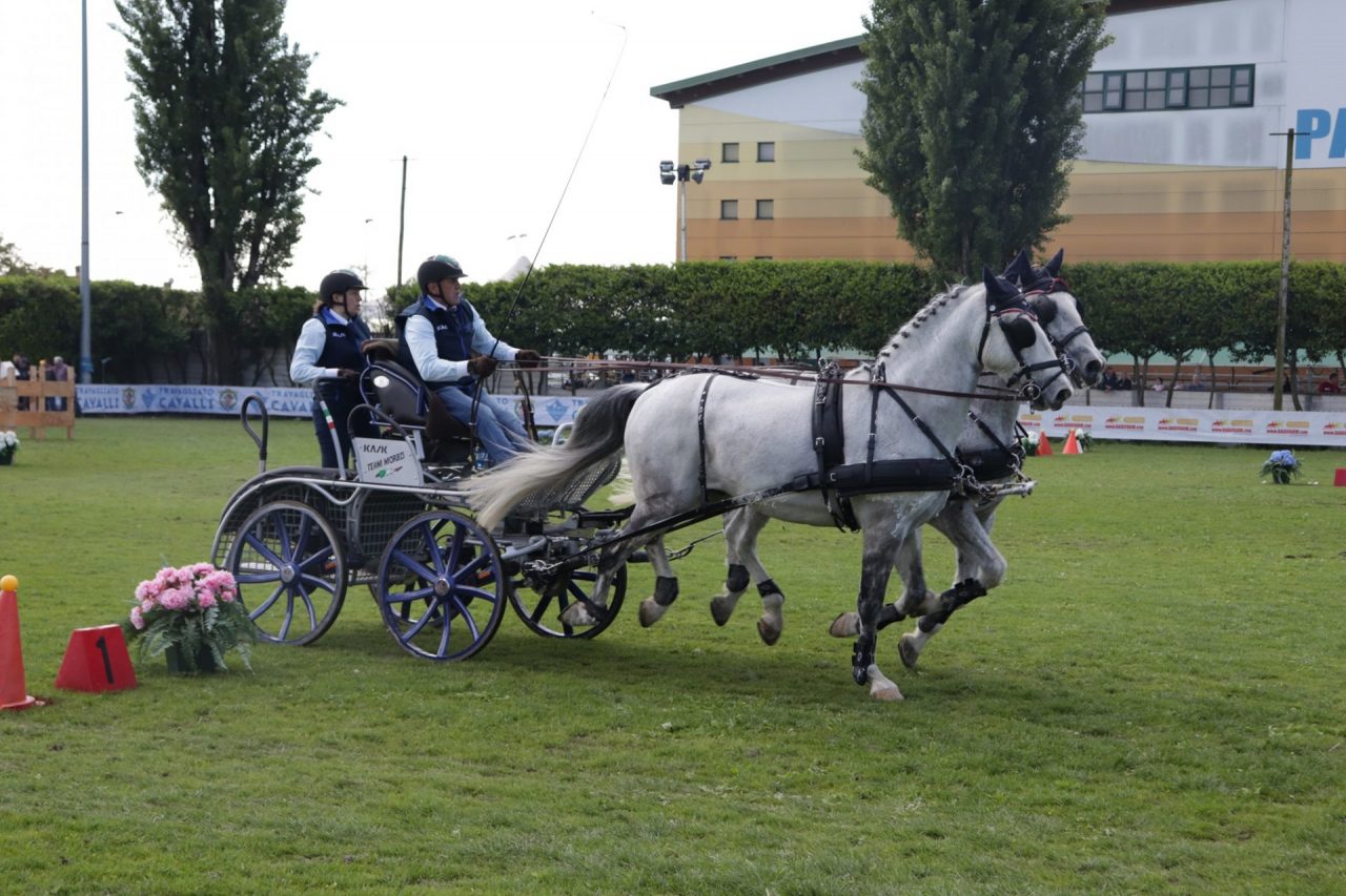 Coronavirus: sospesa la 41esima edizione della Fiera Travagliatocavalli