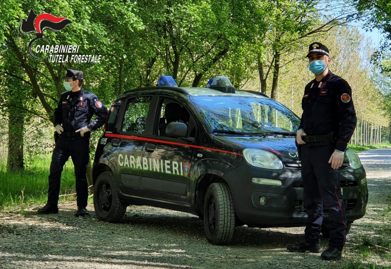Pasqua 2020 vigilanza dei Carabinieri Forestali in Lombardia