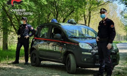 Pasqua 2020 vigilanza dei Carabinieri Forestali in Lombardia