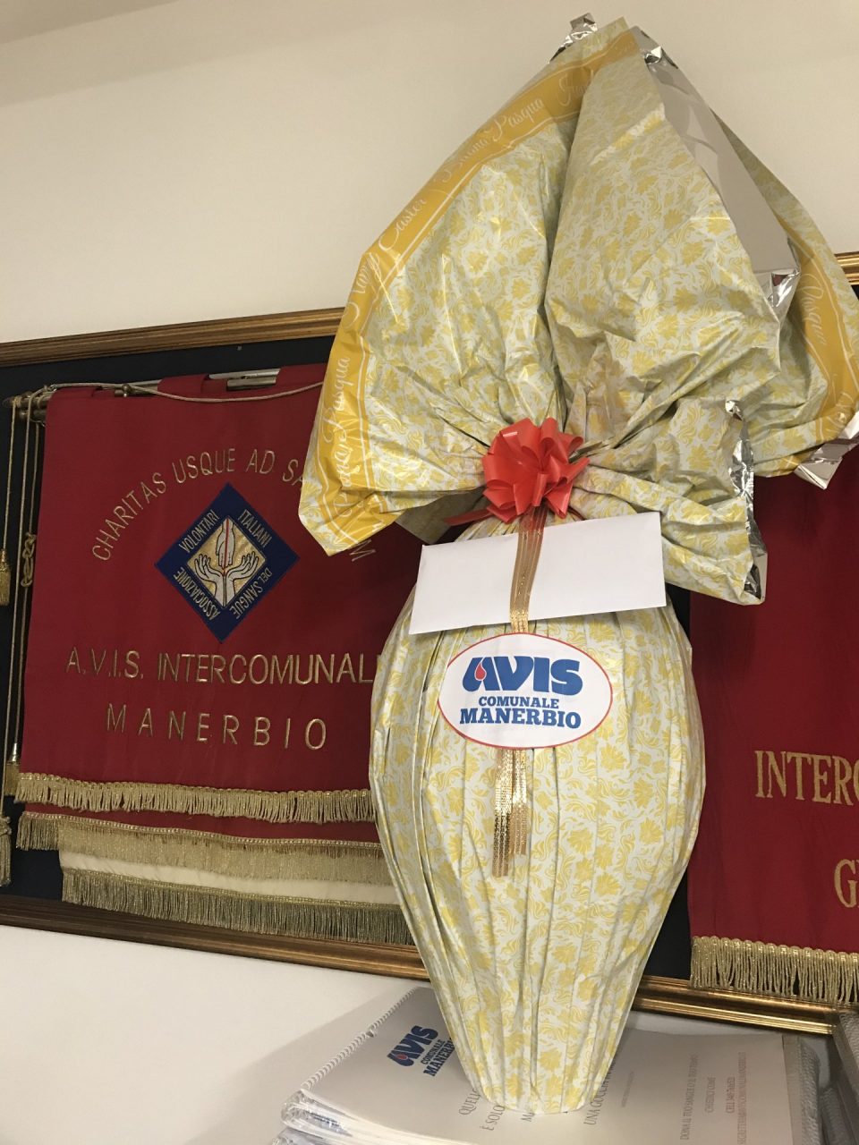 La Pasqua dell’Avis Manerbio dedicata al personale sanitario in prima linea VIDEO