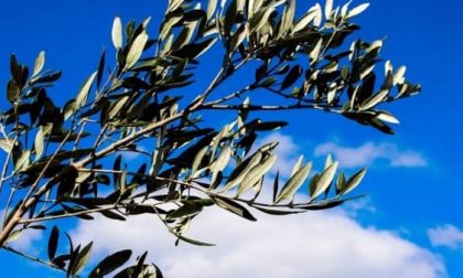 Pasqua a Lonato: se in chiesa non si può andare… “mandateci le foto”