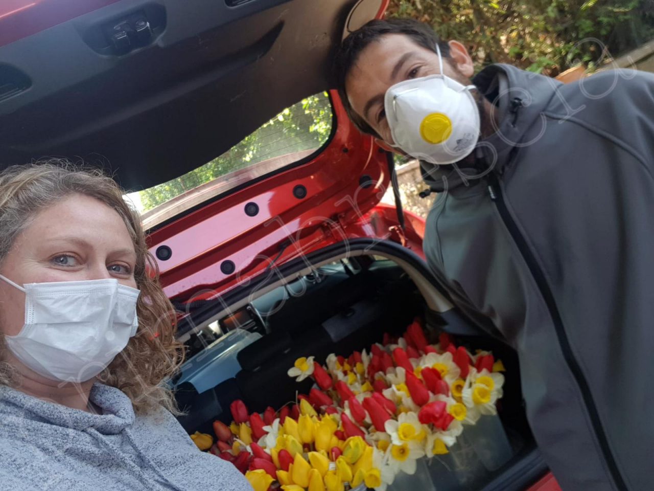 La primavera porta colore nel grigio periodo Covid-19