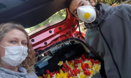 La primavera porta colore nel grigio periodo Covid-19