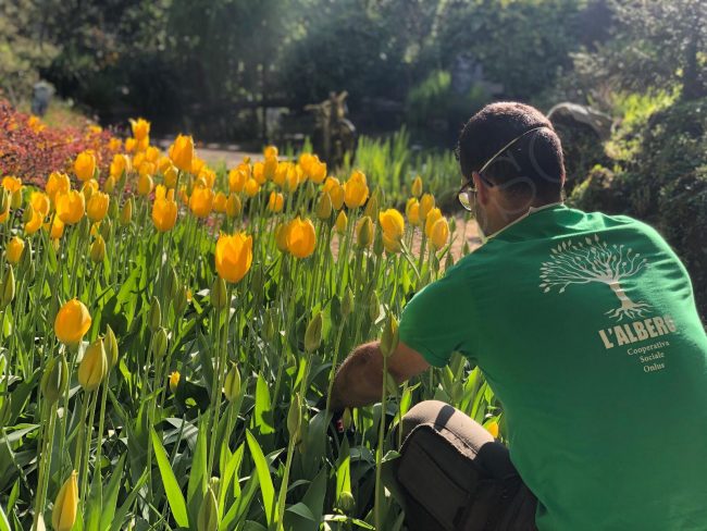 Donazione della cooperativa sociale L'Albero e del giardino botanico "André Heller" di Gardone Riviera