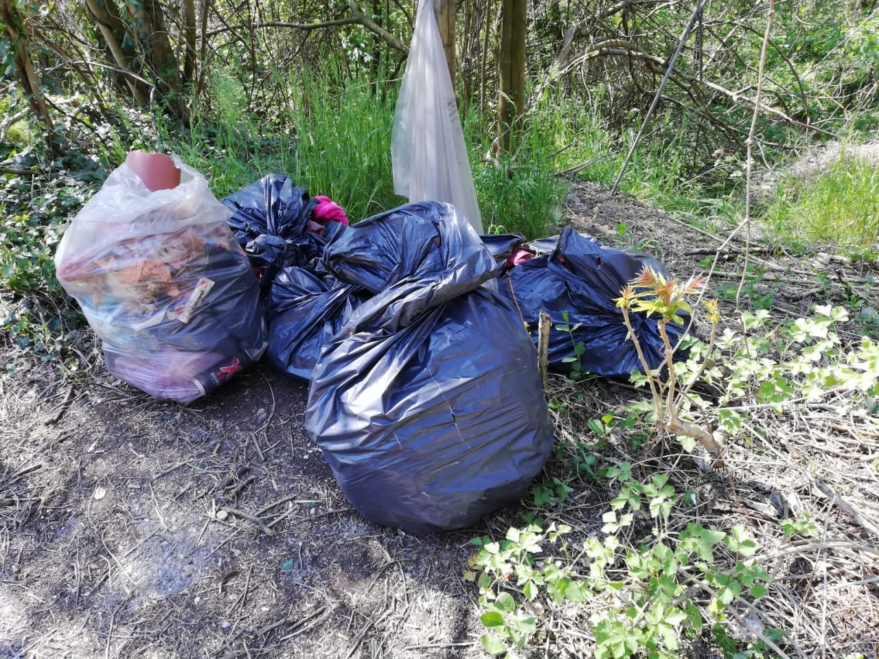 Beccato a Palazzolo mentre abbandonava rifiuti nel giorno di Pasqua