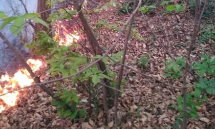 Maxi incendio boschivo a Corte Franca