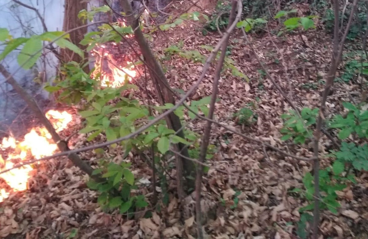 Maxi incendio boschivo a Corte Franca