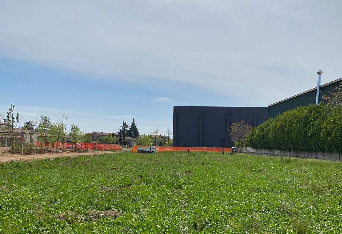 E’ stato spostato il Bosco di Lorenzo