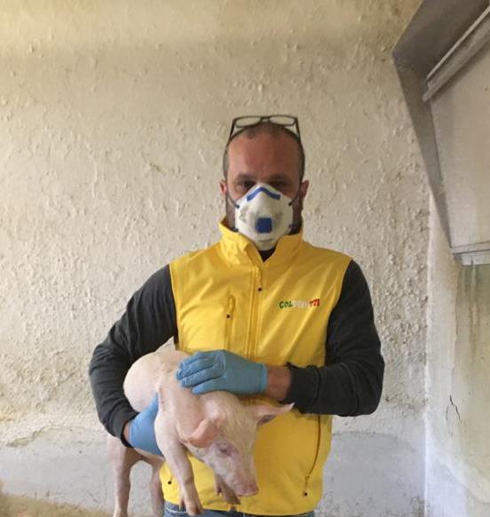 Coldiretti, storie di suini bresciani ai tempi di Covid-19