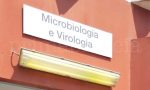 Brescia: isolata una variante di virus Sars-CoV-2