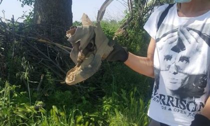 A Dello è ripartita l’operazione #campagnapulita