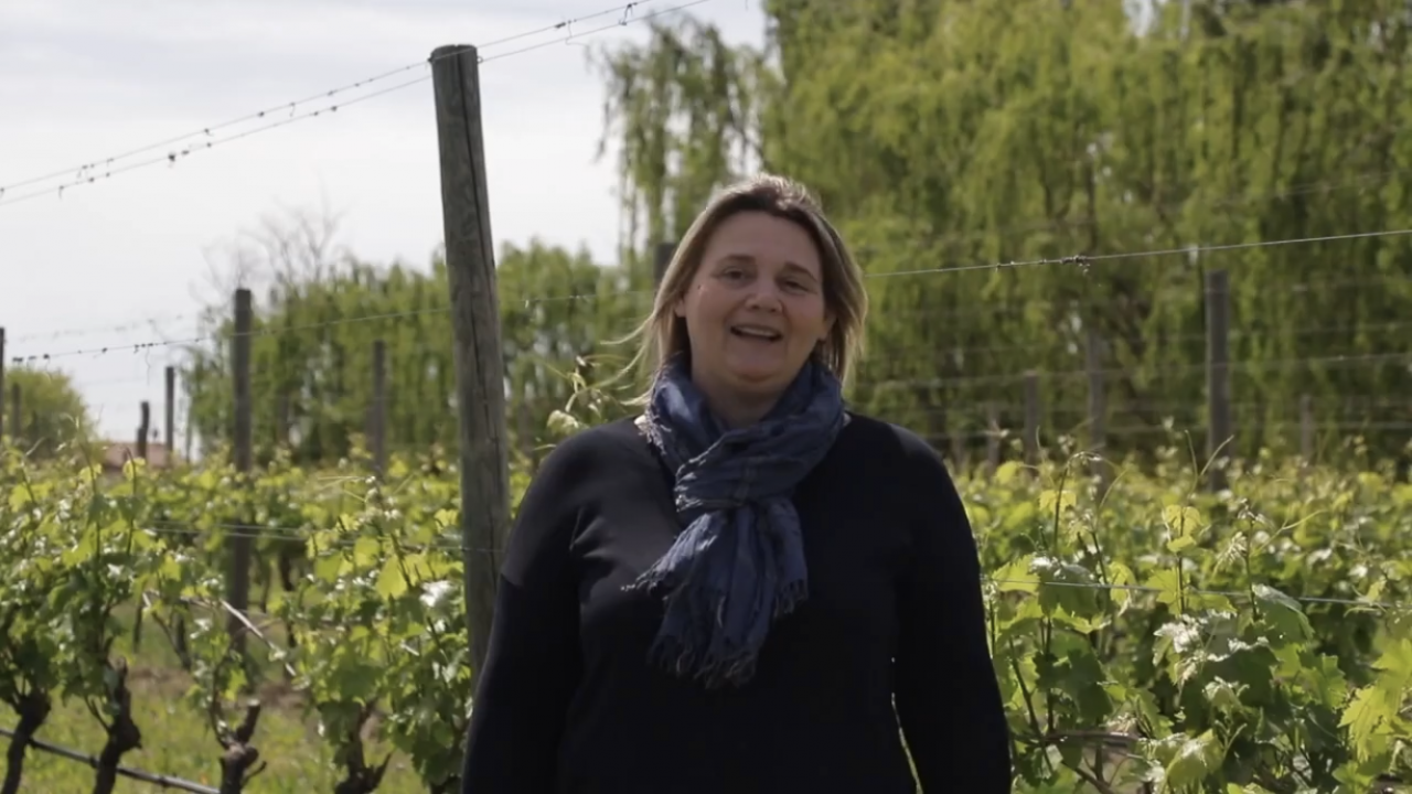 Il messaggio del sindaco scatena le polemiche