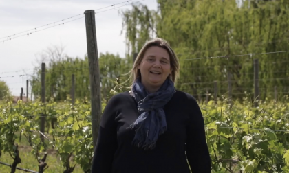 Il messaggio del sindaco scatena le polemiche