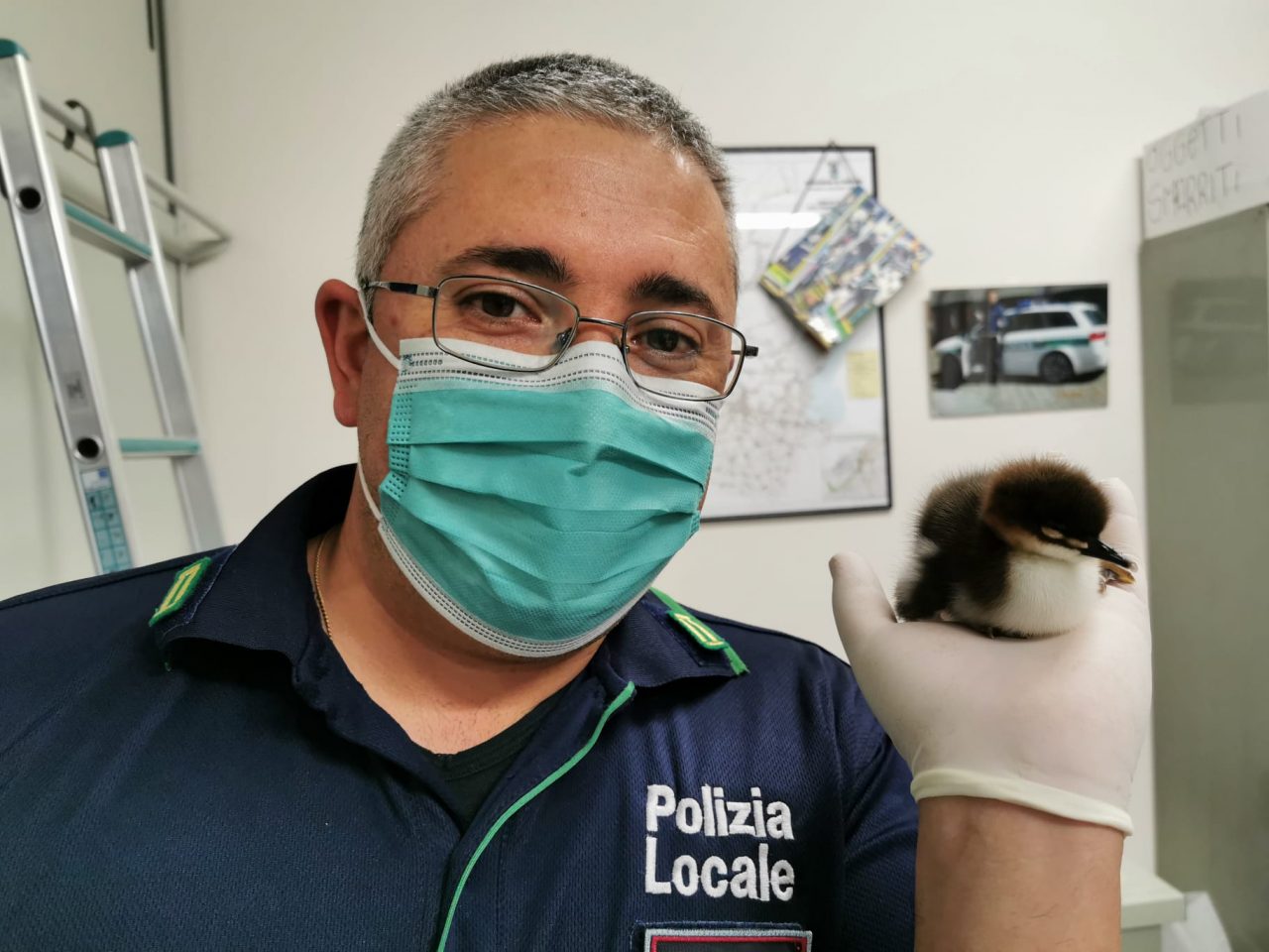 Nuovo salvataggio per il vigile amico degli animali