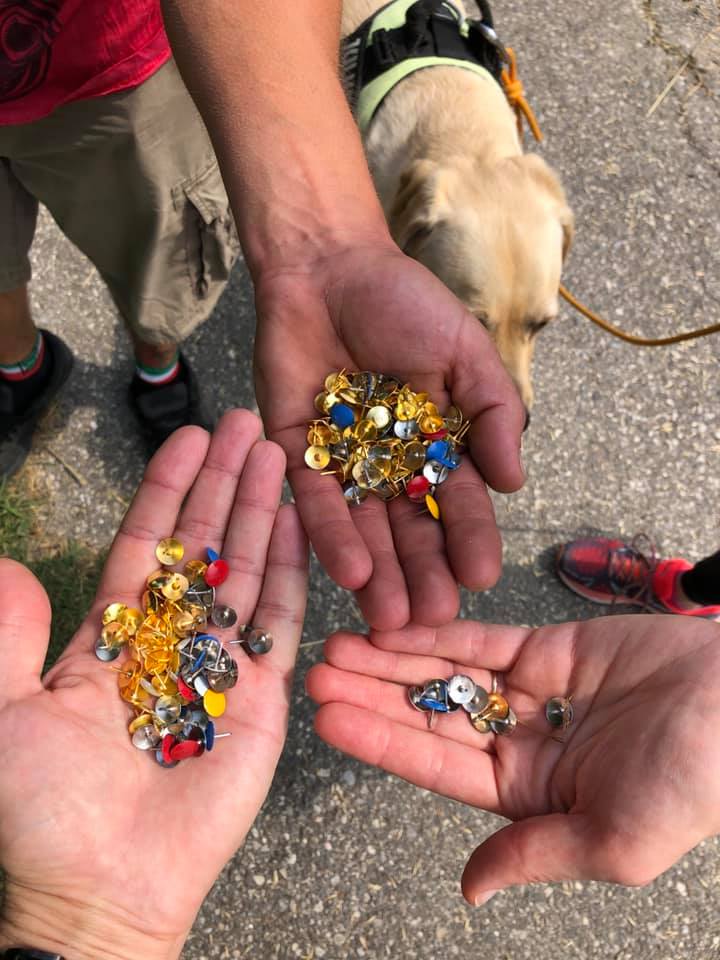 Centinaia di puntine disseminate sulla ciclabile del parco Oglio