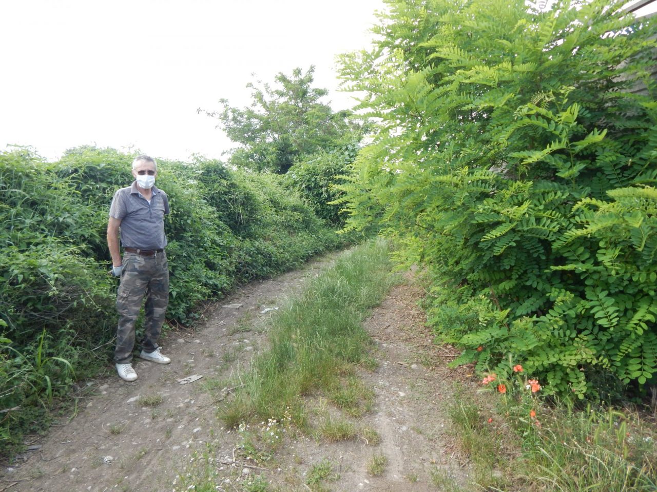 A Chiari, da decenni, una via che finisce nel nulla: che fine ha fatto via Cantalupi?