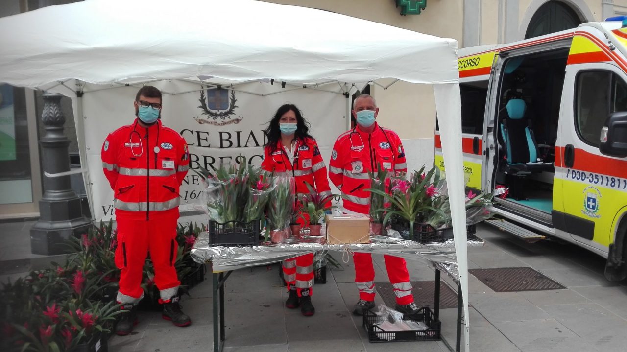 Piante grasse “solidali” con i volontari della Croce Bianca