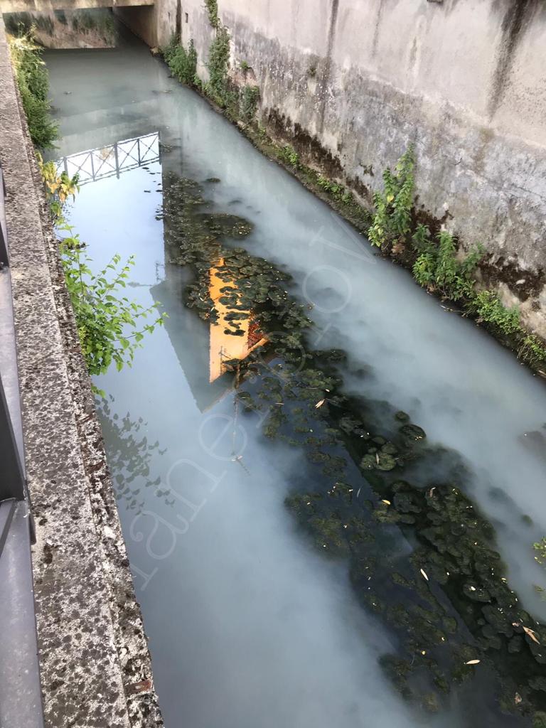 San Gervasio moria di pesci nella roggia