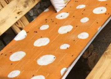 Mezzane invasa dalle mosche: al via la petizione per Ats