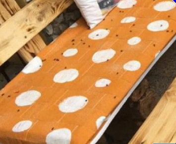 Mezzane invasa dalle mosche: al via la petizione per Ats