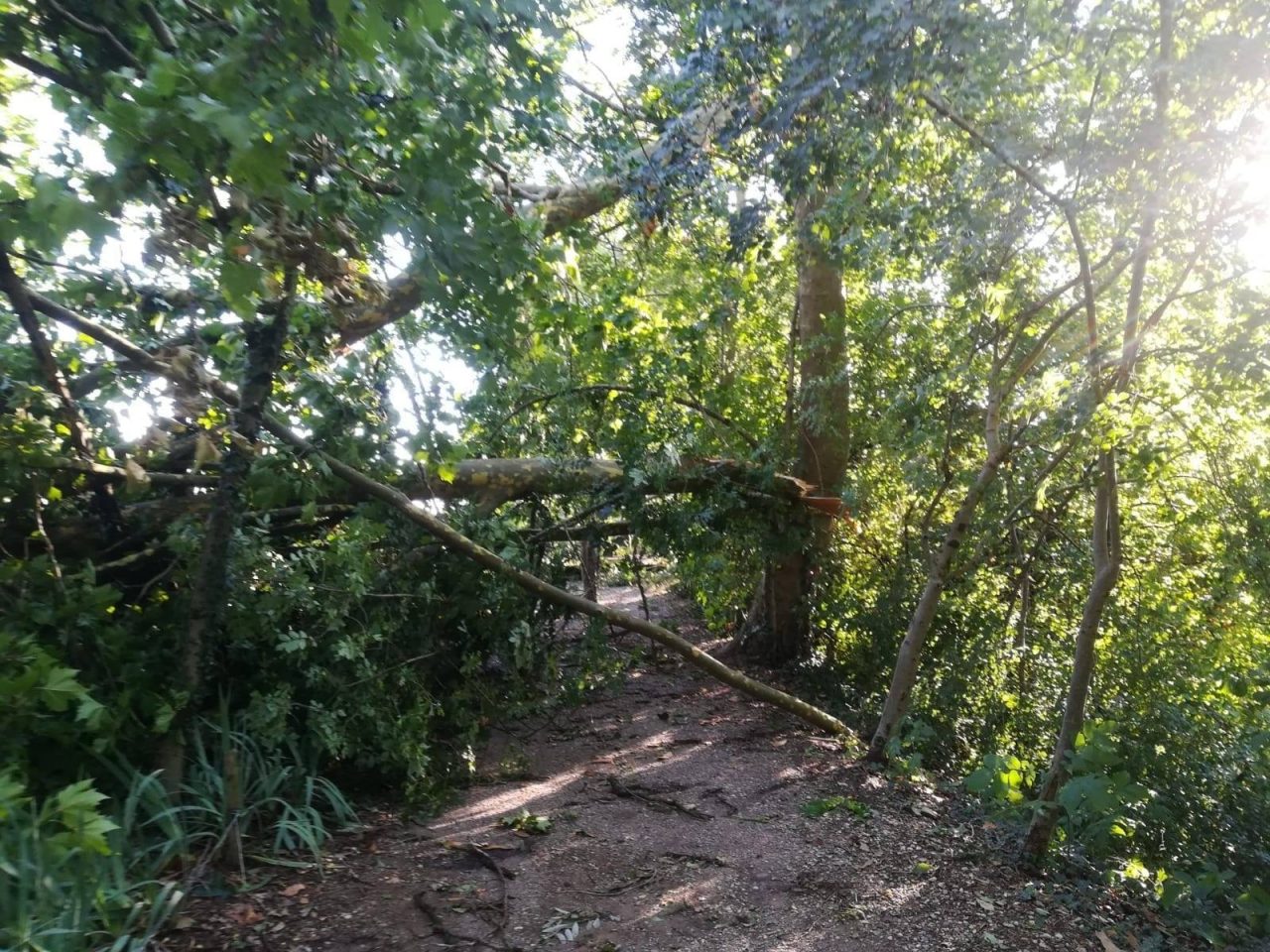 Chiuso per ripristino il Parco dell’Airone