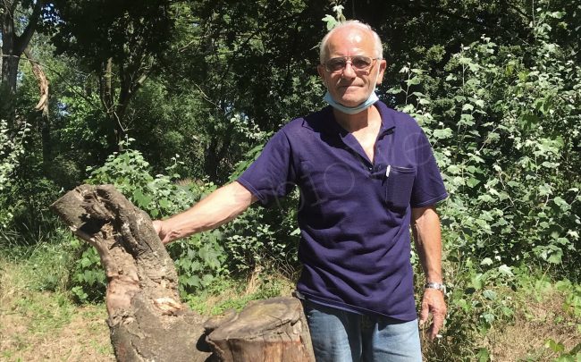 Verolanuova l’artista Obas Broli