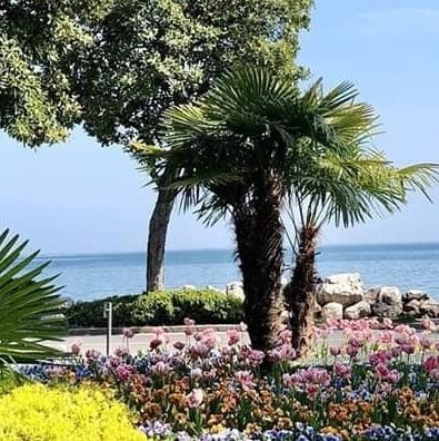 Confermate le date di «Desenzano Garda Flowers»