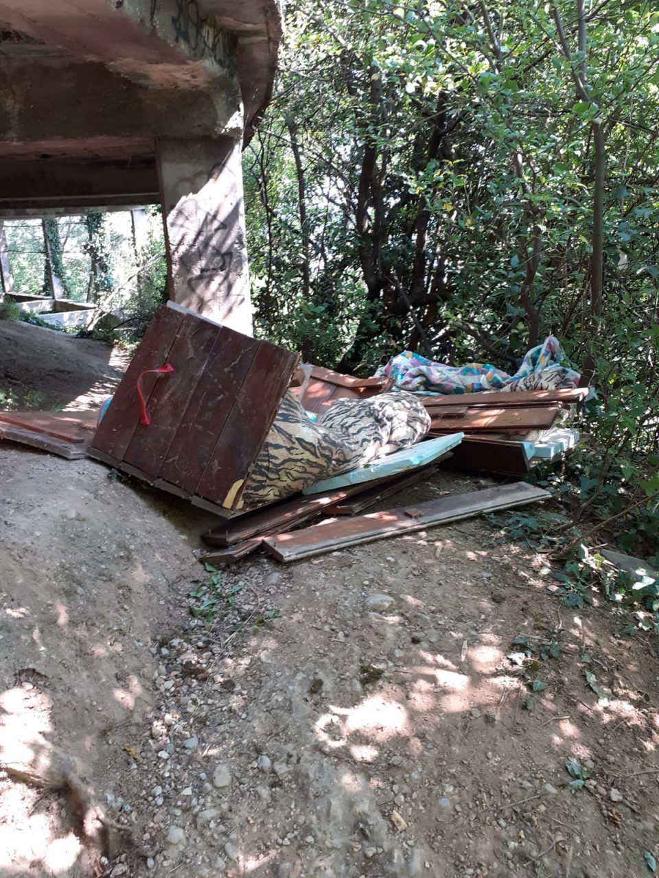 Atto vandalico ai danni di una colonia di gatti