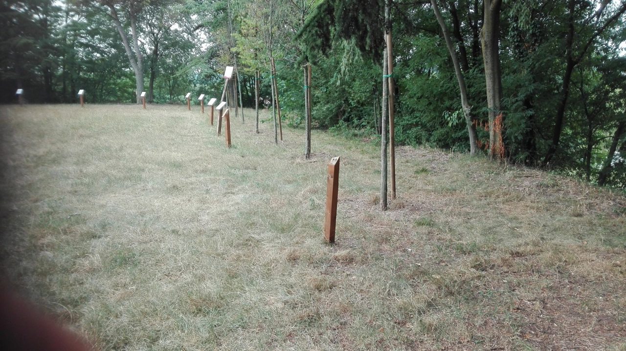 Giardino dei Giusti: dialogo aperto