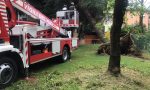 Da Rovato fino a Brescia: pompieri di Chiari impegnati no stop per la tempesta