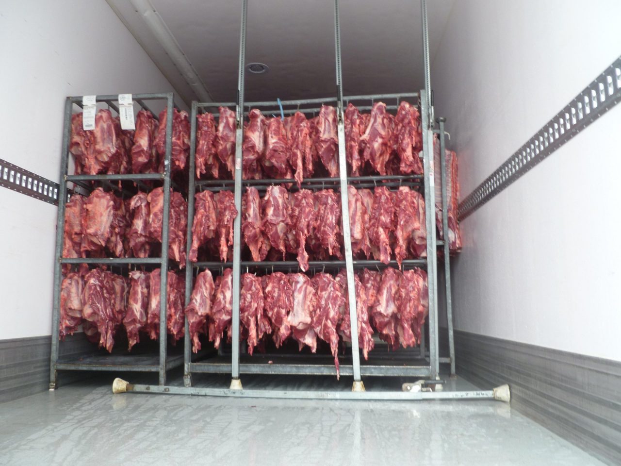 Carne in viaggio sotto il sole e non refrigerata, scatta la maxi multa