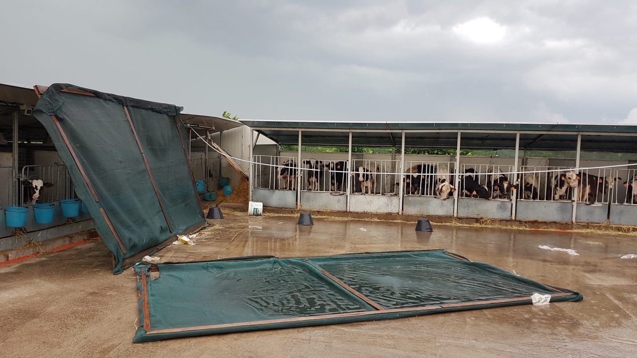 Maltempo, forte vento e grandine nei campi bresciani