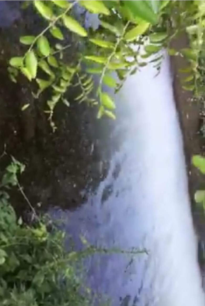 Le acque della roggia si tingono di bianco ma è l’ennesimo «giallo»