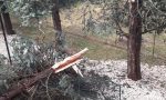 Strade allagate e alberi crollati, tutti i danni del maltempo