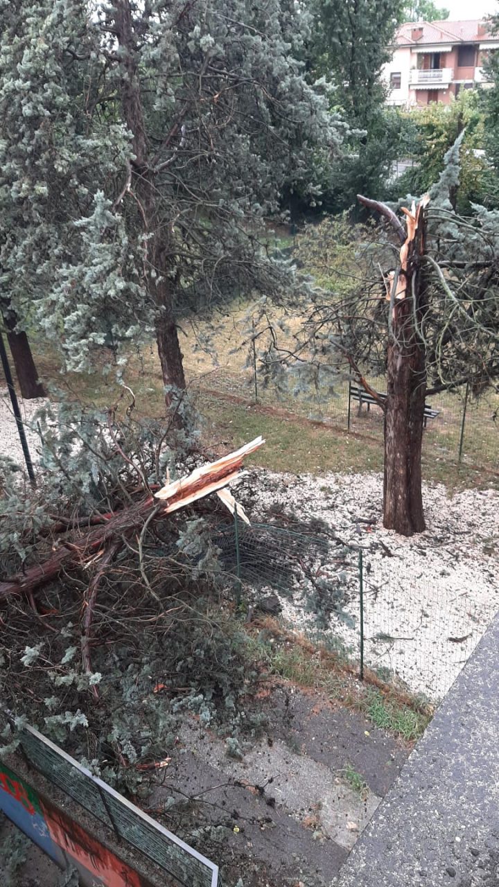 Strade allagate e alberi crollati, tutti i danni del maltempo