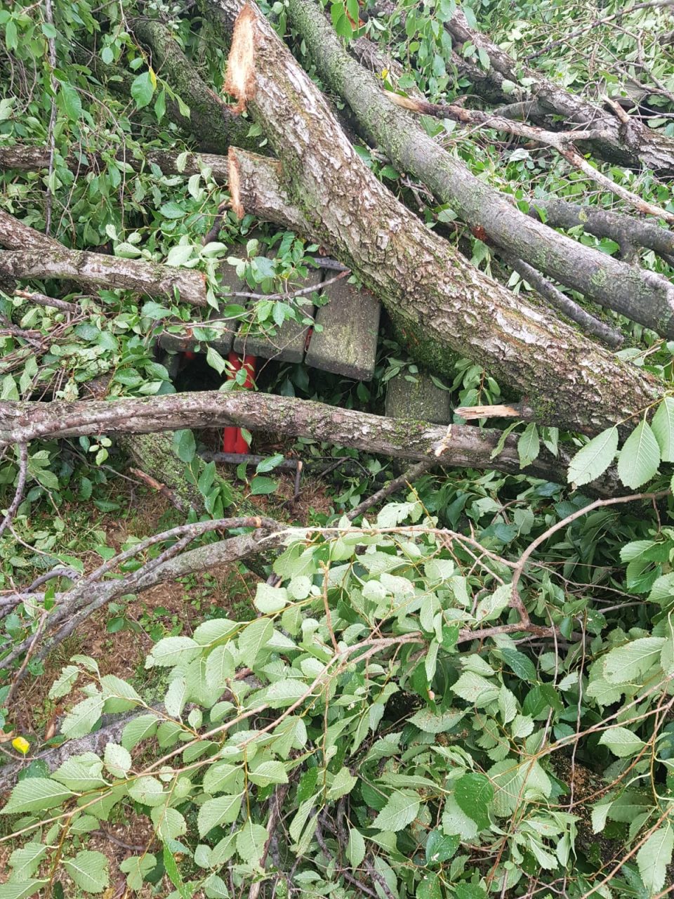 Maltempo, alberi e giochi distrutti all’Infanzia Collodi – FOTO