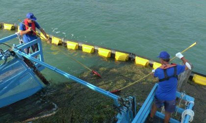 Al via le operazioni di sfalcio delle alghe dal fondale di Clusane