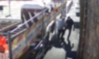 Rapina un 90enne: arrestato dalla Squadra Mobile un 39enne