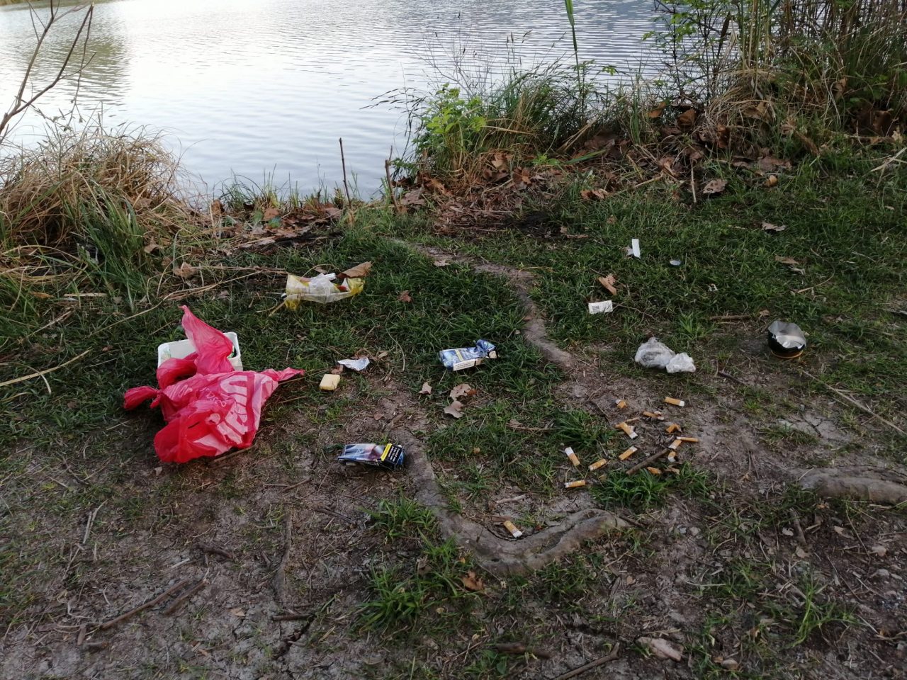 Torbiere: turisti come i vandali, ma stanno per tornare le Gev
