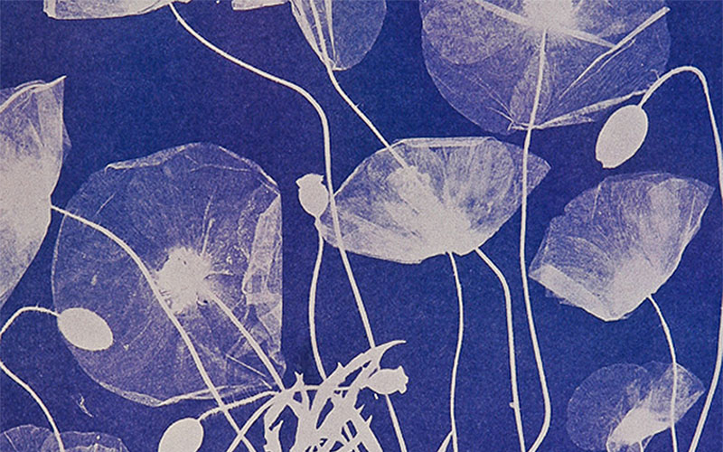 La cultura a Manerbio riparte con laboratori e letture