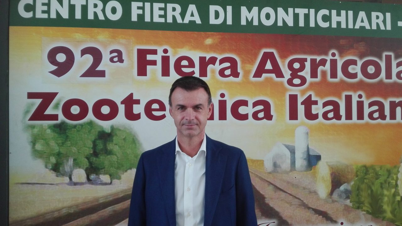 Peste suina in Germania, urge proteggere gli allevamenti bresciani