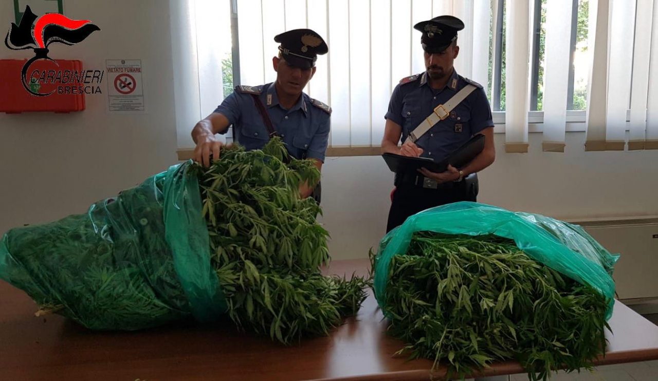 Piantagioni di marijuana: nei guai un 27enne