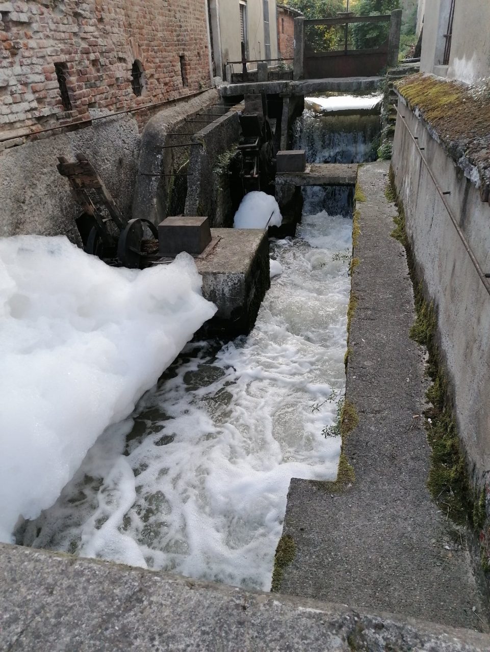 Sversamenti nella roggia e il mulino si riempie di… schiuma