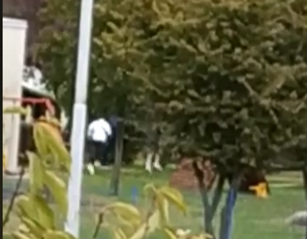 Appello su Facebook ai vandali dell’asilo: “Fatevi avanti”