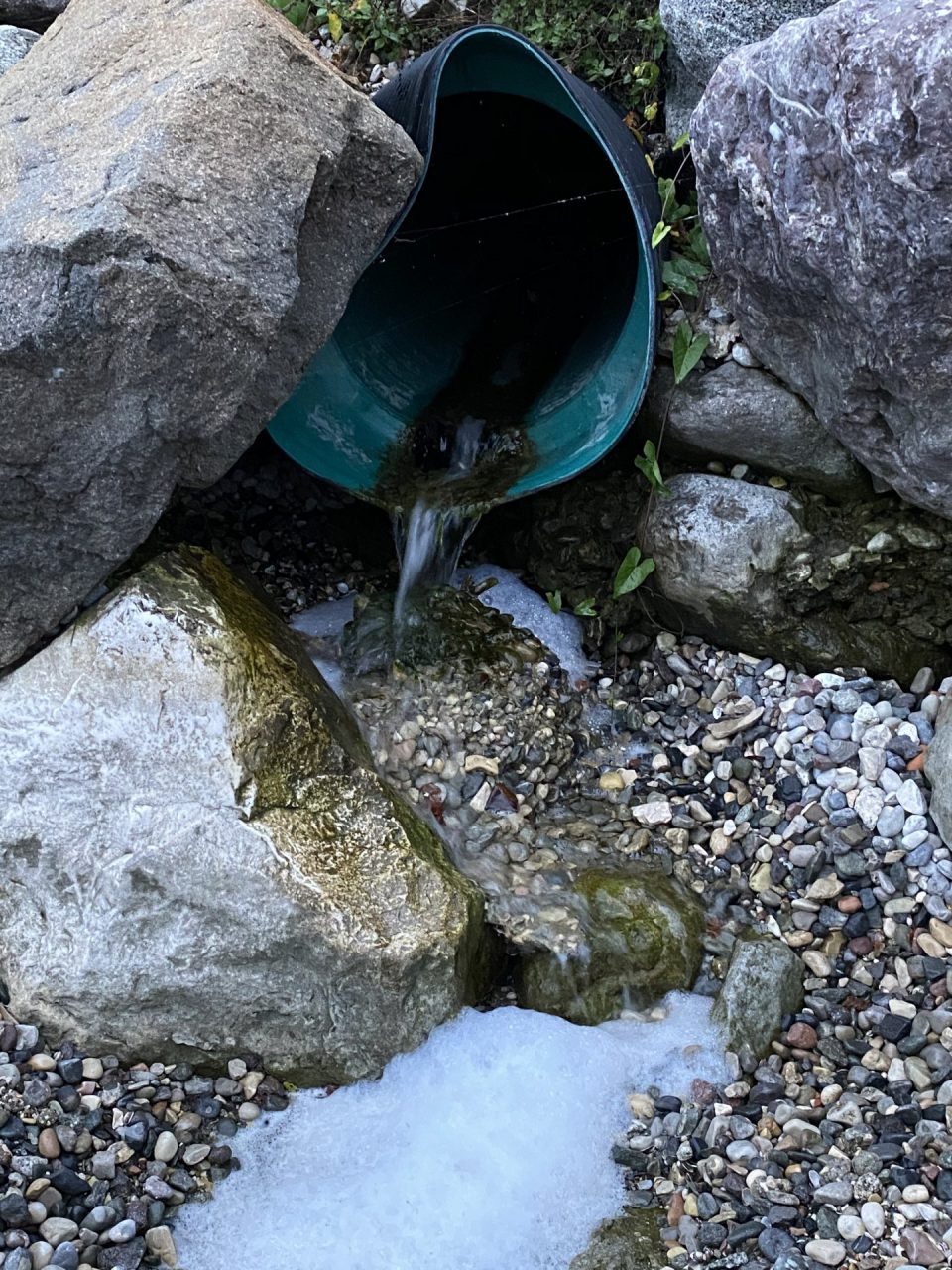 Le Mamme del Garda scrivono al presidente del Consorzio Lago di Garda Luigi Alberti